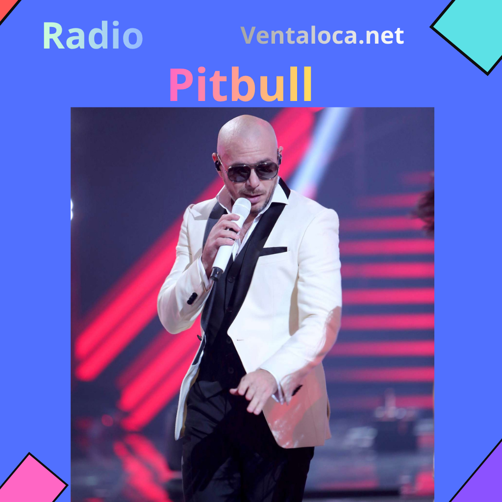 Ventaloca.net pitbull